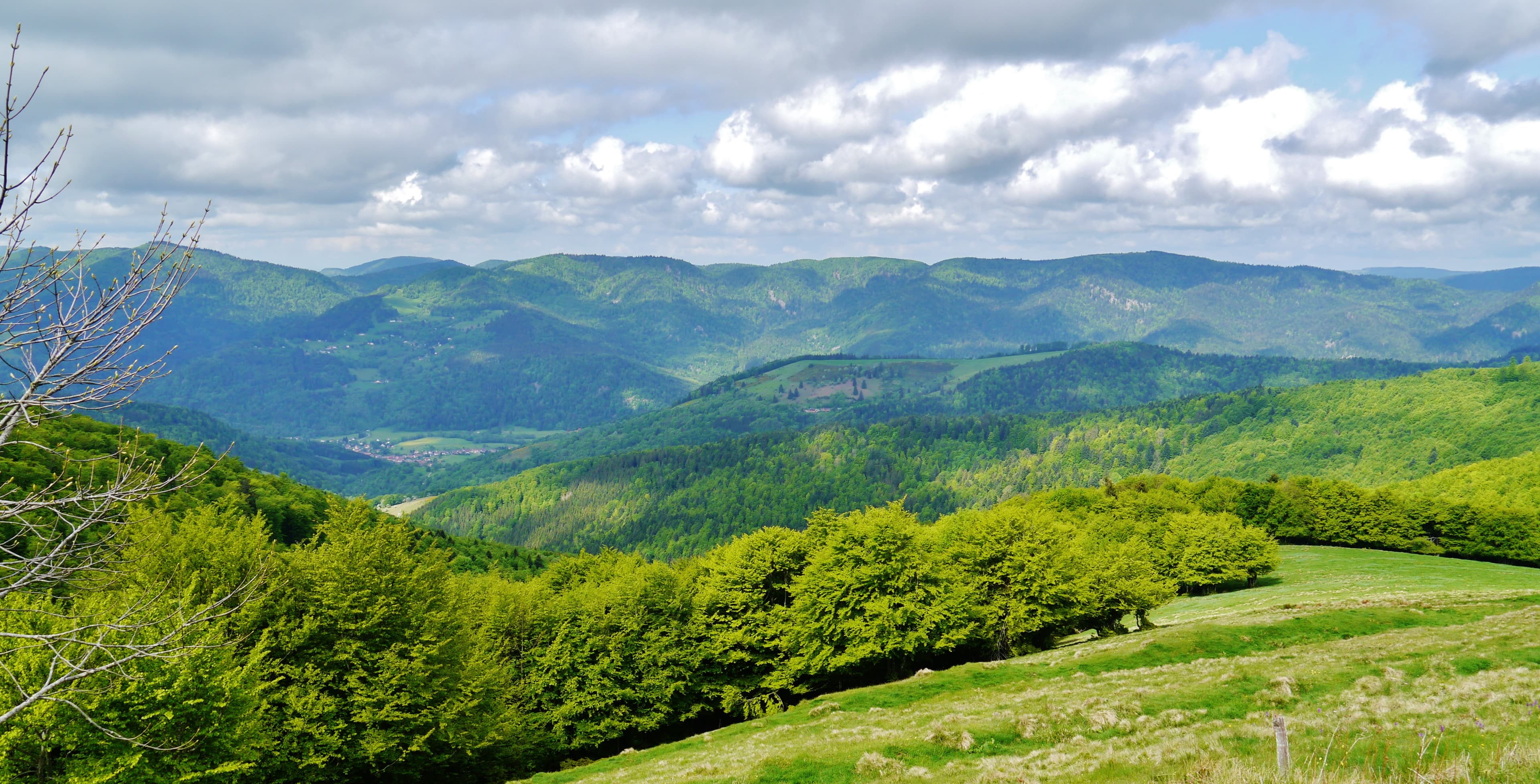 Paysage depuis la Route des Crêtes